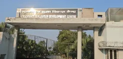क्या कन्नौज में गुलाब की खुशबू ने किसानों की जिंदगी में बदलाव लाया है?