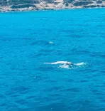 Kareena Kapoor swims in the Aegean Sea on Greece vacation with family