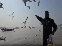 क्या काशीवासियों ने साइबेरियन पक्षियों का स्वागत किया, मां गंगा की रौनक बढ़ी?