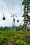 Gulmarg Gondola resumes operations after month-long closure