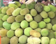 क्या कटहल स्वाद और सेहत का परफेक्ट कॉम्बिनेशन है?