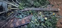 क्या केरल के इडुक्की में भूस्खलन ने एक परिवार को तबाह कर दिया?