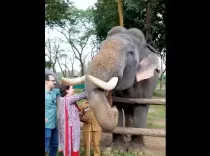 क्या प्रियंका गांधी मुथंगा वन्यजीव अभयारण्य पहुंचीं?
