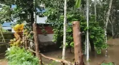केरल के 8 जिलों में भारी बारिश का रेड अलर्ट, इडुक्की में भूस्खलन से महिला की मौत