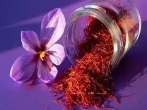 क्या केसर मन-मस्तिष्क के लिए एक टॉनिक है? सर्दियों में इसके सेवन से होंगे कई लाभ