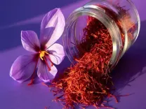 केसर: मन-मस्तिष्क के लिए टॉनिक है केसर, सर्दियों में सेवन से होंगे कई लाभ