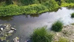 Is the Key Treatment Plant in TN's Tiruppur Nearing Completion to Prevent Sewage Flow into Nallaru River?