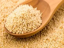 खसखस से शारीरिक और मानसिक थकान हो जाती है छूमंतर, इस तरह करें इस्तेमाल