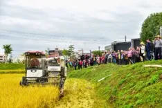 क्या चीन खेती के ठोस कचरे को कीमती संसाधनों में बदलने पर ध्यान देगा?