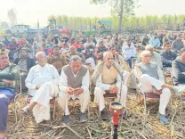 क्या योगी सरकार की नीतियों से किसानों का जीवन बेहतर हो रहा है?