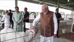 Kishan Reddy: PM Modi Performs Gau Seva in Banaskantha