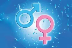 Krishnagiri to launch intensive awareness drive at Anganwadis to curb sex determination, selective abortions