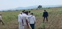 Karnataka drought: 92% crop loss, state sends 3rd memorandum to Centre for aid