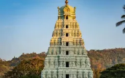 क्या कुक्के सुब्रमण्या मंदिर में भगवान कार्तिकेय नागों के रक्षक के रूप में विराजमान हैं?