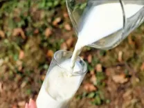 गर्मियों में सादा दूध के औषधीय गुण कैसे बढ़ाएं: जानें विशेष मिश्रण