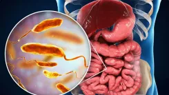 फिटनेस और मानसिक स्वास्थ्य के लिए माइक्रोबायोम क्यों है अनिवार्य?