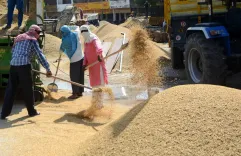 Could Labour Reforms Create 77 Lakh Jobs and Enhance Consumption by ₹75,000 Crore?