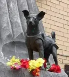 क्या लाइका, वह नन्ही नायिका जिसने अंतरिक्ष के खोले द्वार, आज भी दुनिया करती है सलाम?