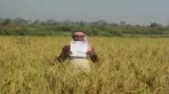 ललितपुर बनेगा UP का पहला नेचुरल फार्मिंग डिस्ट्रिक्ट, गोशालाएँ बनेंगी ग्रामीण अर्थव्यवस्था की धुरी