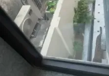 Leopard tranquilised after two-hour chase in Jaipur’s Civil Lines area (Lead)