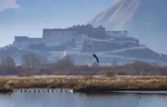 क्या ल्हालू आर्द्रभूमि को 'विश्व की सबसे अधिक ऊंचाई पर स्थित शहरी प्राकृतिक आर्द्रभूमि' का खिताब मिला?