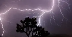 Lightning kills 4 in Bihar's Siwan, Gaya and Purnea amid thunderstorms