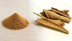 क्या लोध्र त्वचा और स्त्री स्वास्थ्य के लिए आयुर्वेद की शक्तिशाली वनौषधि है?