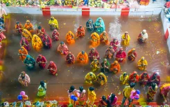 क्या छठ पर्व का सांस्कृतिक और वैज्ञानिक महत्व है?