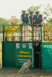 Cheetah CCB-2 released at Gandhi Sagar Sanctuary, MP's count rises to 56