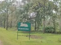 रानी दुर्गावती टाइगर रिजर्व में 7 अक्टूबर को दो चीते छोड़ेंगे CM मोहन यादव, बुंदेलखंड में नई उम्मीद