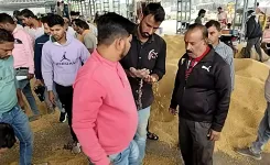 क्या मध्य प्रदेश के नीमच में भावांतर भुगतान योजना ने किसानों के चेहरे पर मुस्कान ला दी है?