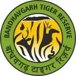 बांधवगढ़ टाइगर रिजर्व का कोर क्षेत्र 1 अक्टूबर से पर्यटकों के लिए खुला, नए सत्र में बाघिन के दीदार से हुई धमाकेदार शुरुआत