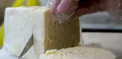 Maharashtra FDA bans analogue paneer state-wide for one year