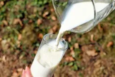 महाराष्ट्र में दूध ₹2 प्रति लीटर महंगा, 11 अगस्त 2026 से नई दरें लागू; डेयरी उत्पाद भी 10% तक बढ़े