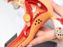 'महिला प्रजनन तंत्र' की अनदेखी पड़ सकती है भारी, इस तरह करें बेहतर देखभाल