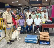 Howrah station ganja bust: RPF seizes 22.64 kg, one arrested