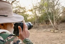 Mandaviya Hails India's Asiatic Lion Conservation on World Lion Day