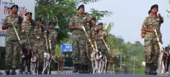 How is PM Modi Celebrating Indian Breed Dogs with BSF and CRPF?