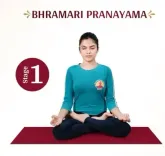 भ्रामरी प्राणायाम : मानसिक शांति और स्वास्थ्य का सरल उपाय, आयुष मंत्रालय ने बताए इसके लाभ