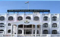 Meghalaya HC halts Shree Cement ops in East Jaintia Hills on JSU plea