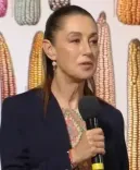 Mexico urges US 'consideration' over new vehicle tariffs