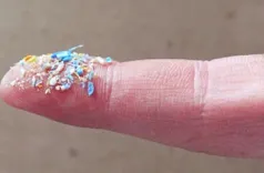 'माइक्रोप्लास्टिक' बदल रहे हैं दिमाग और सेहत का नक्शा, कुछ छोटे उपायों से बदलाव संभव