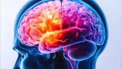 Could Microplastic Exposure Increase Alzheimer’s Disease Risk?