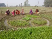 Mission Livelihood: 10 cr rural women working in 90 lakh self-help groups