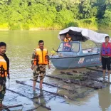 क्या मिजोरम-बांग्लादेश बॉर्डर पर बीएसएफ ने 50 तस्करी किए गए सागौन के लट्ठे जब्त किए?