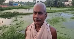 क्या मखाना बोर्ड की स्थापना से किसानों को बड़ा आर्थिक फायदा होगा?