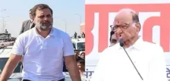 ‘Mock ballot paper’ polls: Rahul Gandhi, Sharad Pawar may visit Maha’s Markadwadi