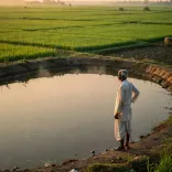 Bihar CMO stresses groundwater recharge and rainwater harvesting
