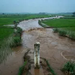 CM Bhagwant Mann monitors Punjab river levels amid monsoon rise
