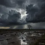 CM Bihar Samrat Choudhary Condoles 9 Lightning Deaths Across Banka, Lakhisarai, Patna